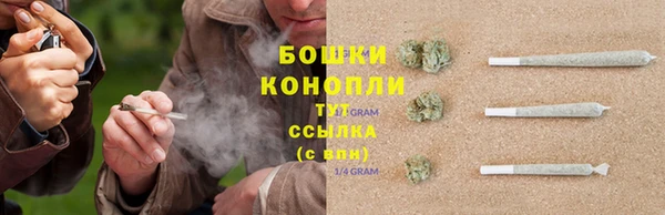 бошки Новодвинск