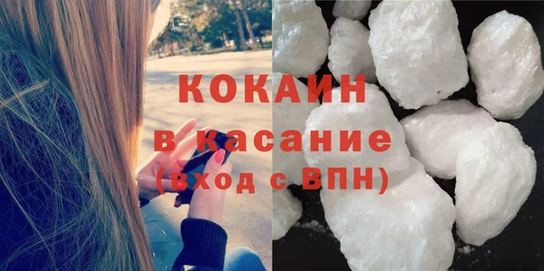 гидра Вяземский