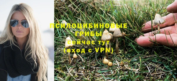 бошки Новодвинск