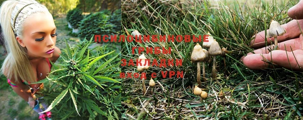 мяу мяу мука Нефтегорск