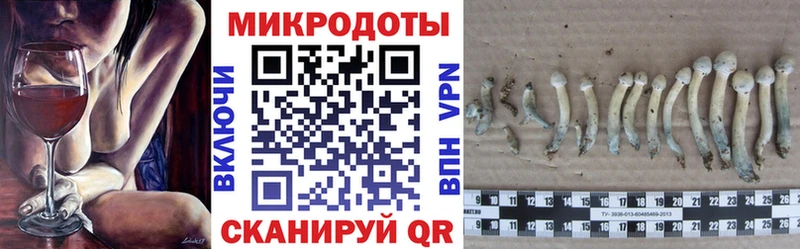 Галлюциногенные грибы Magic Shrooms  как найти закладки  Лебедянь 